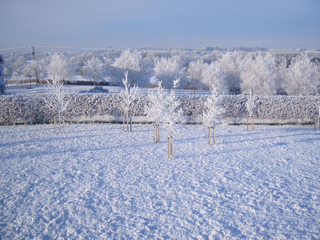 Ashford Haven B&B Cong Esterno foto