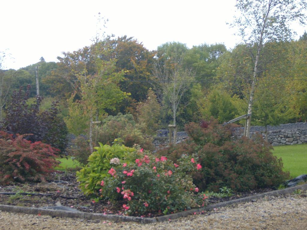 Ashford Haven B&B Cong Esterno foto