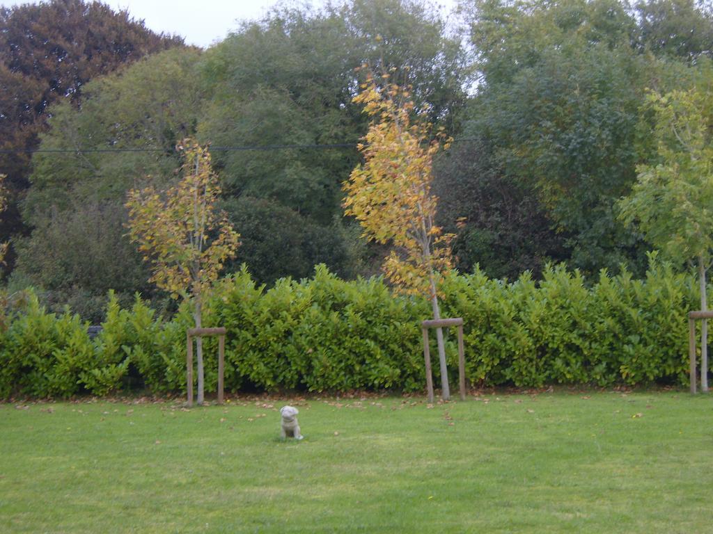 Ashford Haven B&B Cong Esterno foto