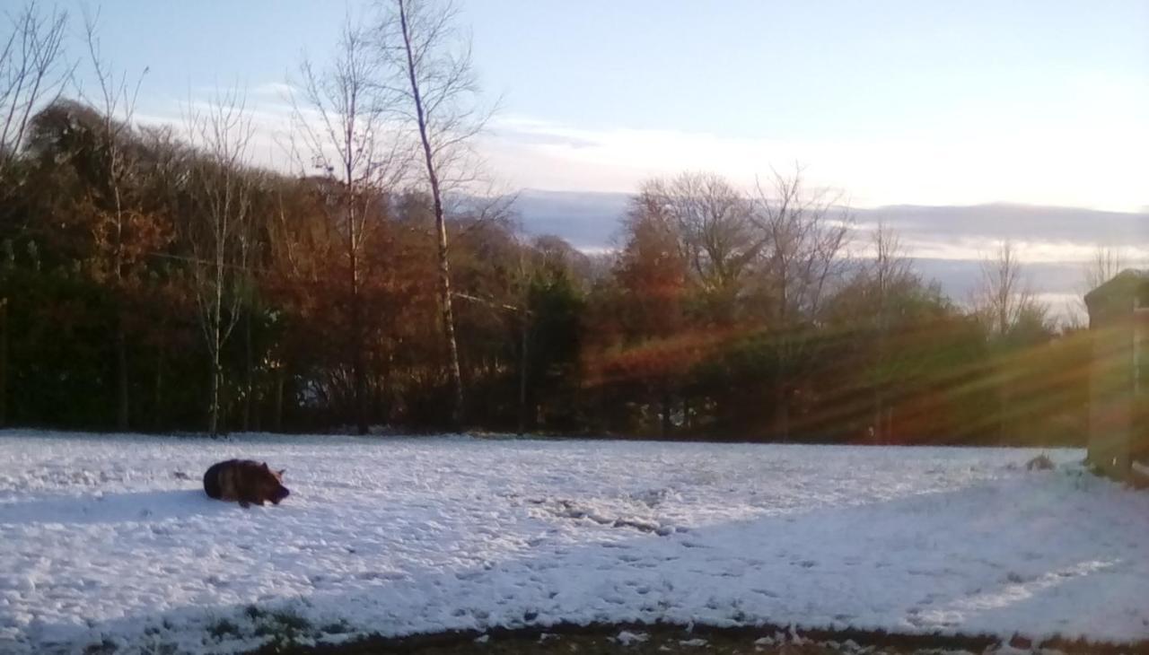 Ashford Haven B&B Cong Esterno foto