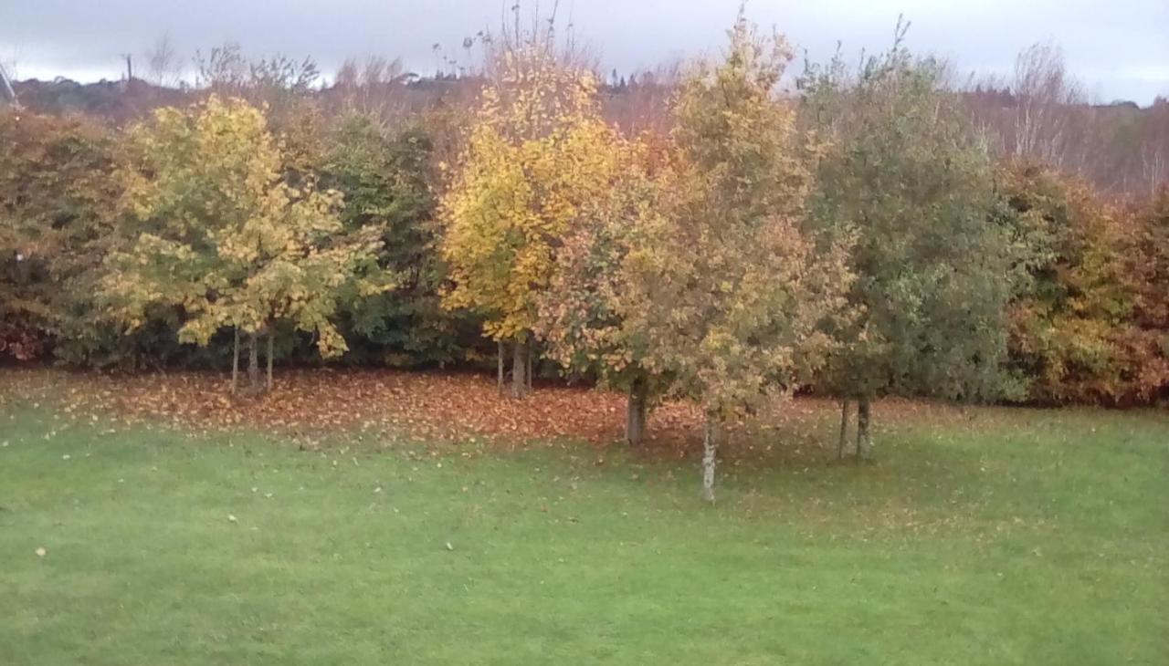 Ashford Haven B&B Cong Esterno foto