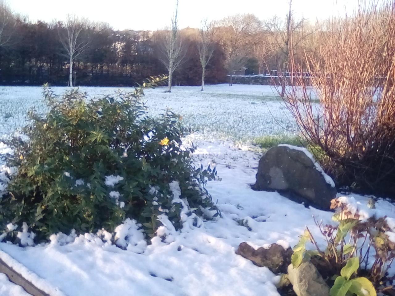 Ashford Haven B&B Cong Esterno foto